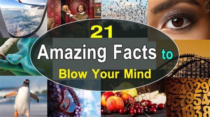 5 Insane Facts That Will Blow Your Mind!