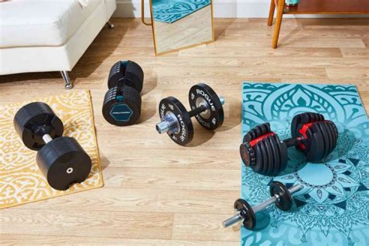 9 best dumbbells to shop in 2024, according to experts