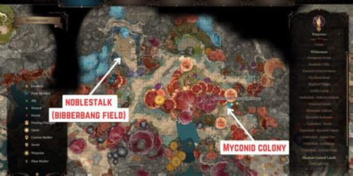 All Possible Uses for Noblestalk in Baldur's Gate 3