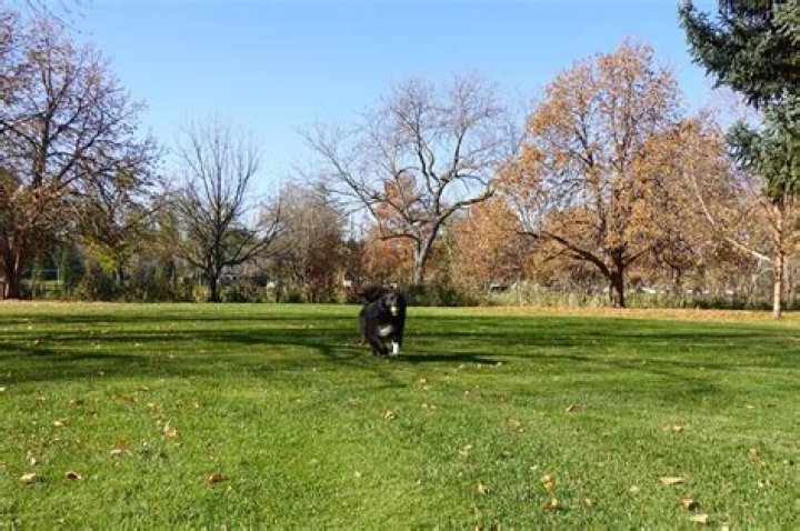 Boise Parks and Recreation kicks off 2023 dog off-leash season at three city parks