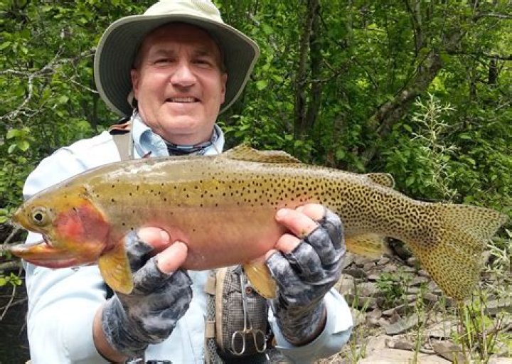 Coeur d'Alene man sets Idaho state record with 21-inch cutthroat