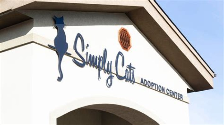 Simply Cats' Crash appears in Cadbury Bunny Commercial on Monday