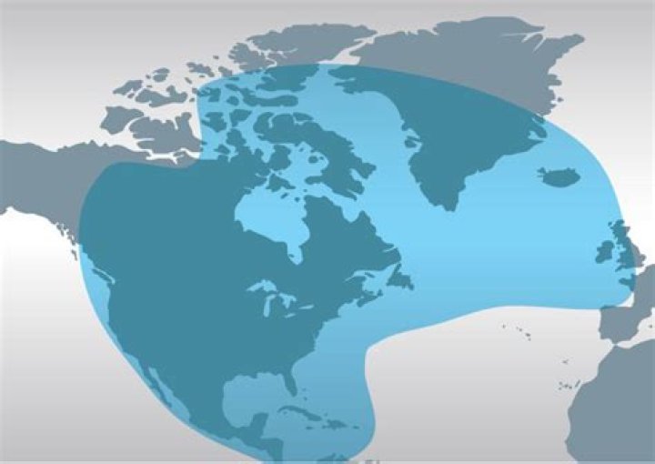 ViaSat-2's 'First of its Kind' Design Will Enable Broad Geographic Reach