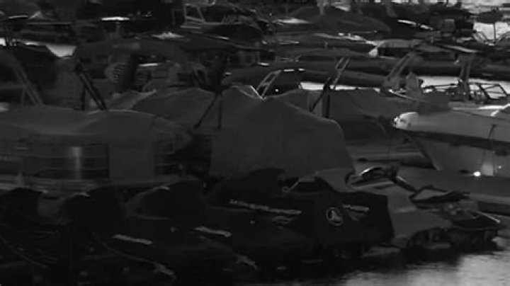 Video: McCall police looking for man who shoved kids into Mile High Marina water